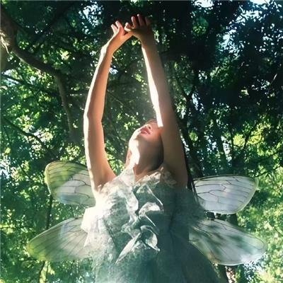 今晚不要让我们去打狗